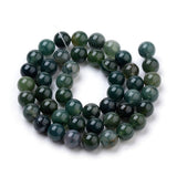 Natural Moss Agate Beads Strands, Round, 6mm, Hole: 1mm, about 59~62pcs/strand, 15 inch, 5Strand/Set