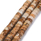 Natural Picture Jasper Beads Strands, Heishi Beads, Flat Round/Disc, 6x3mm, Hole: 1mm, about 119~131pcs/strand, 14.76~15.74 inch(37.5~40cm), 3Strand/Set