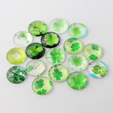 Half Round/Dome Four Leaf Clover Glass Cabochons, Mixed Color, 12x4mm, 200pcs/Set