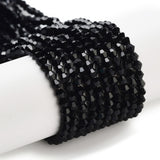 Imitation Austrian Crystal 5301 Bicone Beads, Faceted Glass Beads Strands, Black, 2.9~3.3x2mm, Hole: 0.5mm, about 145~150pcs/strand, 41.5~42cm, 10Strands/Set