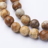 Gemstone Beads Strands, Natural Picture Jasper, Round, about 8mm in diameter, hole: about 1mm, 15~16 inch, 10Strand/Set