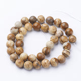 Gemstone Beads Strands, Natural Picture Jasper, Round, about 8mm in diameter, hole: about 1mm, 15~16 inch, 10Strand/Set