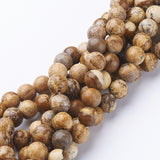 Gemstone Beads Strands, Natural Picture Jasper, Round, about 8mm in diameter, hole: about 1mm, 15~16 inch, 10Strand/Set