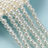 Baking Painted Pearlized Glass Pearl Round Bead Strands, Light Yellow, 6~7mm, Hole: 1mm, about 135~140pcs/strand, 31.4 inch, 20Strand/Set