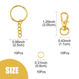 10Pcs Alloy Swivel Lobster Claw Clasps, Swivel Snap Hook, Jewellery Making Supplies, with 10Pcs Iron Split Key Rings and 10Pcs Iron Open Jump Rings, Golden, 30.5x11x6mm, Hole: 5x9mm