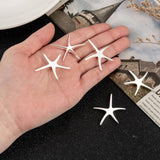 Brass Starfish/Sea Stars Pendants, Silver Color Plated, 32x32mm