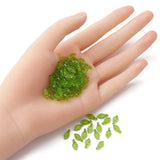 Transparent Acrylic Charms, Leaf Charm, Lawn Green, 10.5x5x3.5mm, Hole: 1.4mm, 100pc/Set