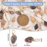 60Pcs 6 Styles Natural Mixed Shell Pendants, Shell Shape Charms, with Light Gold Tone Brass Loops, Mixed Color, 16~27x4~13x4~9mm, Hole: 3mm, 10pcs/style, 2Set/Set