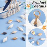 60Pcs 6 Styles Natural Mixed Shell Pendants, Shell Shape Charms, with Light Gold Tone Brass Loops, Mixed Color, 16~27x4~13x4~9mm, Hole: 3mm, 10pcs/style, 2Set/Set