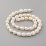 Natural Cultured Freshwater Pearl Beads Strands, Oval, Old Lace, 9~10x7~8mm, Hole: 0.5mm, about 40~41pcs/strand, 14.9 inch(38cm)