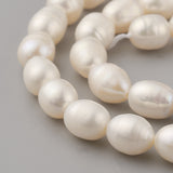 Natural Cultured Freshwater Pearl Beads Strands, Oval, Old Lace, 9~10x7~8mm, Hole: 0.5mm, about 40~41pcs/strand, 14.9 inch(38cm)