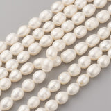 Natural Cultured Freshwater Pearl Beads Strands, Oval, Old Lace, 9~10x7~8mm, Hole: 0.5mm, about 40~41pcs/strand, 14.9 inch(38cm)