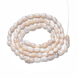 Natural Cultured Freshwater Pearl Beads Strands, Rice, Seashell Color, 3.5~6x3~4mm, Hole: 0.7mm, about 72~76pcs/strand, 13.58 inch~13.98 inch(34.5cm~35.5cm), 2Strand/Set