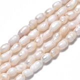 Natural Cultured Freshwater Pearl Beads Strands, Rice, Seashell Color, 3.5~6x3~4mm, Hole: 0.7mm, about 72~76pcs/strand, 13.58 inch~13.98 inch(34.5cm~35.5cm), 2Strand/Set