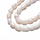 Natural Cultured Freshwater Pearl Beads Strands, Rice, Seashell Color, 3.5~6x3~4mm, Hole: 0.7mm, about 72~76pcs/strand, 13.58 inch~13.98 inch(34.5cm~35.5cm), 2Strand/Set