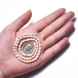 Natural Cultured Freshwater Pearl Beads Strands, Rice, Seashell Color, 3.5~6x3~4mm, Hole: 0.7mm, about 72~76pcs/strand, 13.58 inch~13.98 inch(34.5cm~35.5cm), 2Strand/Set