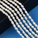 Natural Cultured Freshwater Pearl Beads Strands, Rice, Seashell Color, 3.5~6x3~4mm, Hole: 0.7mm, about 72~76pcs/strand, 13.58 inch~13.98 inch(34.5cm~35.5cm), 2Strand/Set