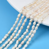 Natural Cultured Freshwater Pearl Beads Strands, Rice, Seashell Color, 3.5~6x3~4mm, Hole: 0.7mm, about 72~76pcs/strand, 13.58 inch~13.98 inch(34.5cm~35.5cm), 2Strand/Set