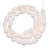 Natural Cultured Freshwater Pearl Beads Strands, Baroque Keshi Pearl Rice Beads, Seashell Color, 3~5x3~3.5mm, Hole: 0.7~0.8mm, about 38~39pcs/strand, 7.09 inch(18cm), 2Strand/Set