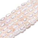 Natural Cultured Freshwater Pearl Beads Strands, Baroque Keshi Pearl Rice Beads, Seashell Color, 3~5x3~3.5mm, Hole: 0.7~0.8mm, about 38~39pcs/strand, 7.09 inch(18cm), 2Strand/Set