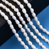 Natural Cultured Freshwater Pearl Beads Strands, Baroque Keshi Pearl Rice Beads, Seashell Color, 3~5x3~3.5mm, Hole: 0.7~0.8mm, about 38~39pcs/strand, 7.09 inch(18cm), 2Strand/Set