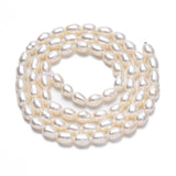 Natural Cultured Freshwater Pearl Beads Strands, Rice, Seashell Color, 5~6.5x4~4.5mm, Hole: 0.6mm, about 60~61pcs/strand, 13.98 inch~14.17 inch(35.5~36cm)