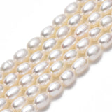 Natural Cultured Freshwater Pearl Beads Strands, Rice, Seashell Color, 5~6.5x4~4.5mm, Hole: 0.6mm, about 60~61pcs/strand, 13.98 inch~14.17 inch(35.5~36cm)