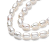 Natural Cultured Freshwater Pearl Beads Strands, Rice, Seashell Color, 5~6.5x4~4.5mm, Hole: 0.6mm, about 60~61pcs/strand, 13.98 inch~14.17 inch(35.5~36cm)