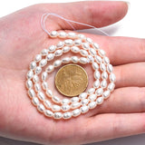 Natural Cultured Freshwater Pearl Beads Strands, Rice, Seashell Color, 5~6.5x4~4.5mm, Hole: 0.6mm, about 60~61pcs/strand, 13.98 inch~14.17 inch(35.5~36cm)