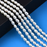 Natural Cultured Freshwater Pearl Beads Strands, Rice, Seashell Color, 5~6.5x4~4.5mm, Hole: 0.6mm, about 60~61pcs/strand, 13.98 inch~14.17 inch(35.5~36cm)