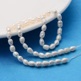 Grade A Natural Cultured Freshwater Pearl Strands, Idea for Mother's Day Gift, Rice Beads, White, 4~5mm, Hole: 0.8mm, about 34~43pcs/strand, 13.19 inch(33.5cm), 2Strand/Set