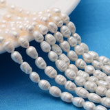 Grade A Natural Cultured Freshwater Pearl Strands, Idea for Mother's Day Gift, Rice Beads, White, 4~5mm, Hole: 0.8mm, about 34~43pcs/strand, 13.19 inch(33.5cm), 2Strand/Set