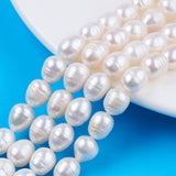 Natural Cultured Freshwater Pearl Beads Strands, Rice, Seashell Color, 10~11.5x8~9mm, Hole: 0.7mm, about 32~33pcs/strand, 13.90 inch~14.37 inch(35.3~36.5cm), 2Strand/Set