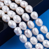 Natural Cultured Freshwater Pearl Beads Strands, Rice, Seashell Color, 10~11.5x8~9mm, Hole: 0.7mm, about 32~33pcs/strand, 13.90 inch~14.37 inch(35.3~36.5cm), 2Strand/Set