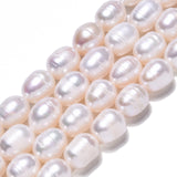 Natural Cultured Freshwater Pearl Beads Strands, Rice, Seashell Color, 10~11.5x8~9mm, Hole: 0.7mm, about 32~33pcs/strand, 13.90 inch~14.37 inch(35.3~36.5cm), 2Strand/Set