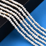 Natural Cultured Freshwater Pearl Beads Strands, Potato, Seashell Color, 2.5~3.5x2~3mm, Hole: 0.6mm, about 139~145pcs/strand, 13.35 inch~13.54 inch(33.9~34.3cm), 2Strand/Set