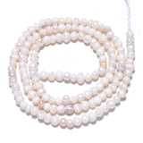 Natural Cultured Freshwater Pearl Beads Strands, Potato, Seashell Color, 2.5~3.5x2~3mm, Hole: 0.6mm, about 139~145pcs/strand, 13.35 inch~13.54 inch(33.9~34.3cm), 2Strand/Set