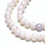 Natural Cultured Freshwater Pearl Beads Strands, Potato, Seashell Color, 2.5~3.5x2~3mm, Hole: 0.6mm, about 139~145pcs/strand, 13.35 inch~13.54 inch(33.9~34.3cm), 2Strand/Set