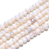 Natural Cultured Freshwater Pearl Beads Strands, Potato, Seashell Color, 2.5~3.5x2~3mm, Hole: 0.6mm, about 139~145pcs/strand, 13.35 inch~13.54 inch(33.9~34.3cm), 2Strand/Set