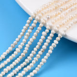 Natural Cultured Freshwater Pearl Beads Strands, Potato, Seashell Color, 2.5~3.5x2~3mm, Hole: 0.6mm, about 139~145pcs/strand, 13.35 inch~13.54 inch(33.9~34.3cm), 2Strand/Set