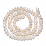 Natural Cultured Freshwater Pearl Beads Strands, Potato, Seashell Color, 3.5~5x4.5~6x4~5mm, Hole: 0.7mm, about 70~76pcs/strand, 13.70 inch~13.98 inch(34.8cm~35.5cm), 2Strand/Set