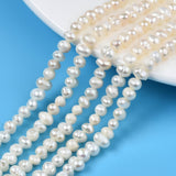 Natural Cultured Freshwater Pearl Beads Strands, Potato, Seashell Color, 3.5~5x4.5~6x4~5mm, Hole: 0.7mm, about 70~76pcs/strand, 13.70 inch~13.98 inch(34.8cm~35.5cm), 2Strand/Set