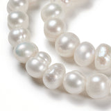 Natural Cultured Freshwater Pearl Beads Strands, Potato, Old Lace, 6.5~7mm, Hole: 0.8mm, about 57~58pcs/strand, about 13.39~13.58''(34~34.5cm), 2Strand/Set