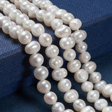 Natural Cultured Freshwater Pearl Beads Strands, Potato, Old Lace, 6.5~7mm, Hole: 0.8mm, about 57~58pcs/strand, about 13.39~13.58''(34~34.5cm), 2Strand/Set