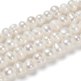 Natural Cultured Freshwater Pearl Beads Strands, Potato, Old Lace, 6.5~7mm, Hole: 0.8mm, about 57~58pcs/strand, about 13.39~13.58''(34~34.5cm), 2Strand/Set