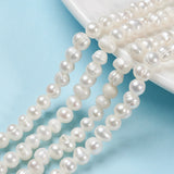 Natural Cultured Freshwater Pearl Beads Strands, Potato, Old Lace, 6.5~7mm, Hole: 0.8mm, about 57~58pcs/strand, about 13.39~13.58''(34~34.5cm), 2Strand/Set