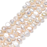 Natural Cultured Freshwater Pearl Beads Strands, Oval, Seashell Color, 4~5x4~5x2.5~3.5mm, Hole: 0.7mm, about 99~100pcs/strand, 13.98 inch~14.13 inch(35.5~35.9cm)