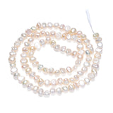 Natural Cultured Freshwater Pearl Beads Strands, Oval, Seashell Color, 4~5x4~5x2.5~3.5mm, Hole: 0.7mm, about 99~100pcs/strand, 13.98 inch~14.13 inch(35.5~35.9cm)