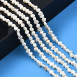 Natural Cultured Freshwater Pearl Beads Strands, Oval, Seashell Color, 4~5x4~5x2.5~3.5mm, Hole: 0.7mm, about 99~100pcs/strand, 13.98 inch~14.13 inch(35.5~35.9cm)