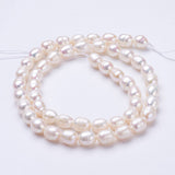 Natural Cultured Freshwater Pearl Beads Strands, Rice, Linen, 6~7x5~6mm, Hole: 0.5mm, about 47pcs/strand, 13.39 inch